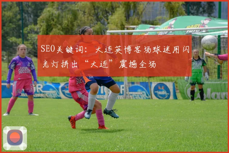 SEO关键词：大连英博客场球迷用闪光灯拼出“大连”震撼全场